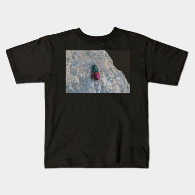 Ruby tailed wasp Kids T-Shirt by orcadia